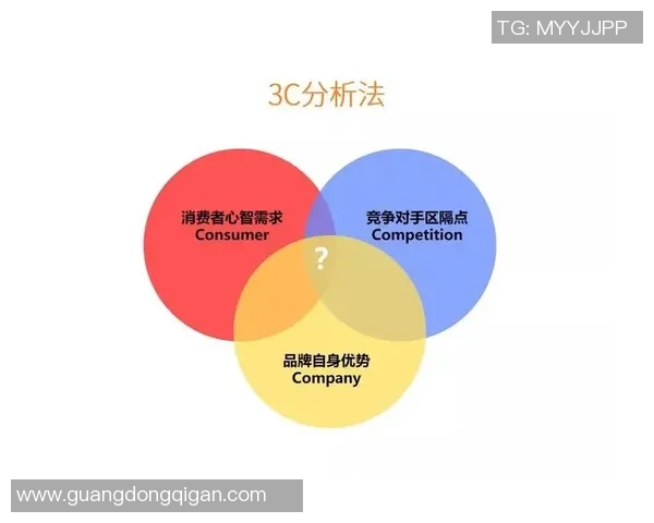 重庆排球队阵地战分析：得失背后的战术思考与未来展望