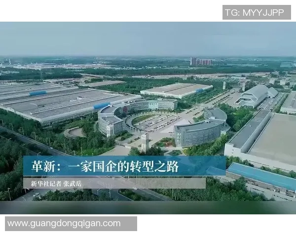 重庆篮球队整体压制革新之路探索与未来展望