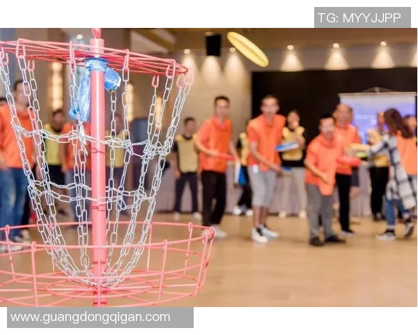 飞盘飞扬：成都飞盘队的奋斗与成长之路全景纪实